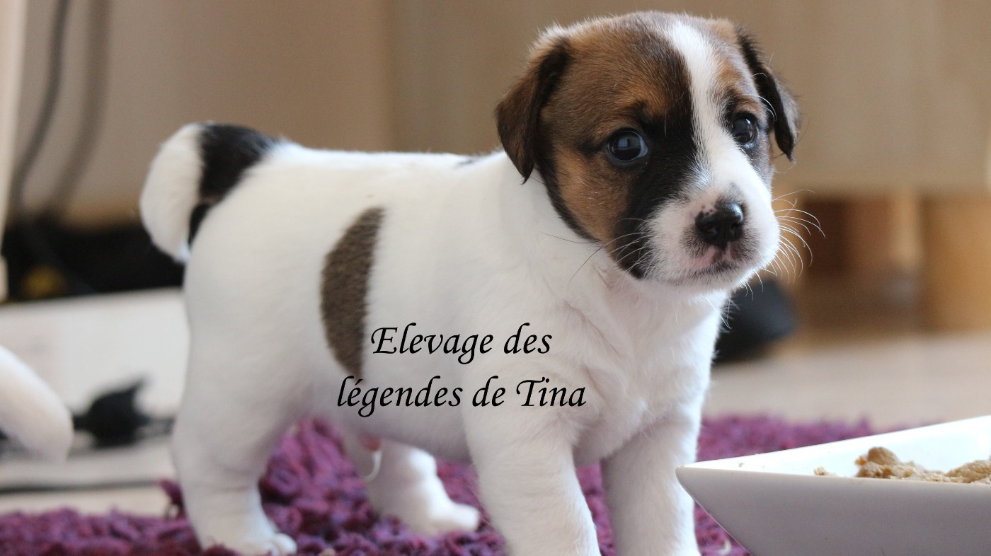 Baxter vous attend
