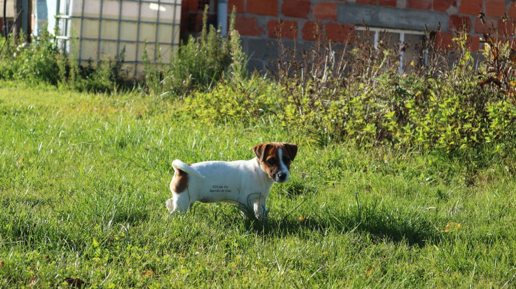 Axial est à la recherche de sa famille